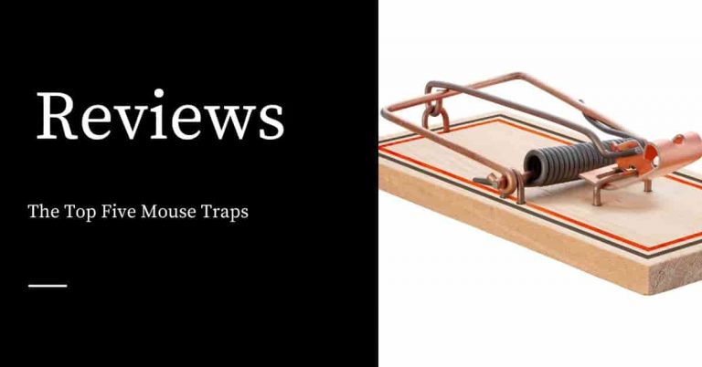 The Top Five Mouse Traps - Pest Control Products